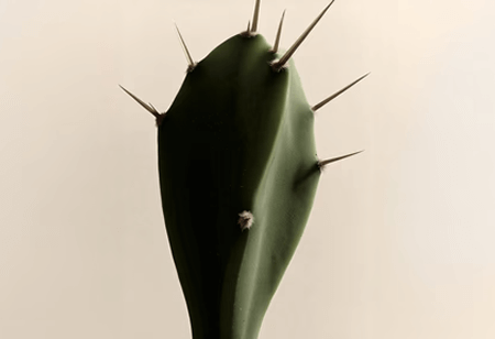 blog-thumb
